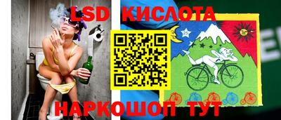 стаф Будённовск